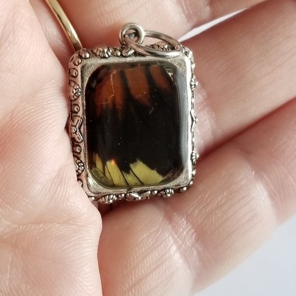 Butterfly wing charm pendant silver tone real insect bug resin handmade - Picture 4 of 10